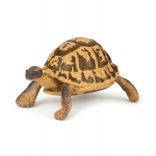 Papo Φιγούρα Hermann's Tortoise 50264