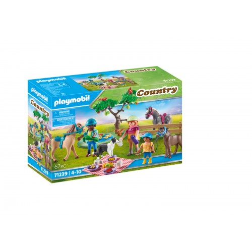 Playmobil Country Πικ Νικ στην Εξοχή 71239