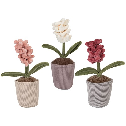 Ζουμπούλι με Γλάστρα Single Foxglove in Pot 24εκ. (3 χρώματα) PM777015