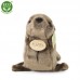 Λούτρινη Φώκια 24εκ. Eco-Friendly 601444 Rappa