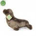 Λούτρινη Φώκια 24εκ. Eco-Friendly 601444 Rappa