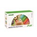 Tooky Toy Ξύλινος Πάγκος Μουσικών Οργάνων TKC354A