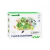 Ξύλινο Μαγνητικό Παιχνίδι με Έντομα Catch & Insect TP526 Tooky Toy Ξύλινο Μαγνητικό Παιχνίδι με Έντομα Catch & Insect TP526 Tooky Toy